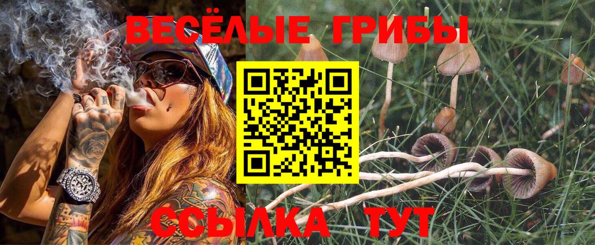 Воронеж  Галлюциногенные грибы мухоморы  Псилоцибиновые грибы прущие грибы  наркошоп  Вход с VPN 